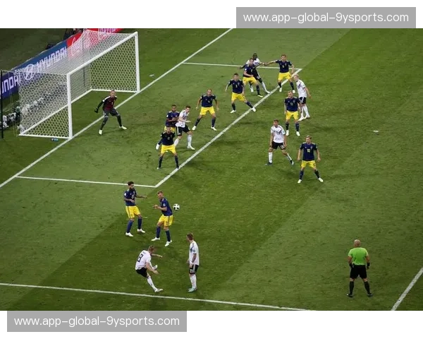 法国vs冰岛赔率：高卢雄鸡的稳定优势，还是冰岛维京战吼的奇迹？